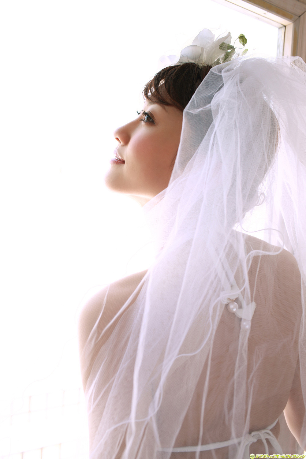 No.823 原幹恵 Mikie Hara 新婚旅行 [DGC]